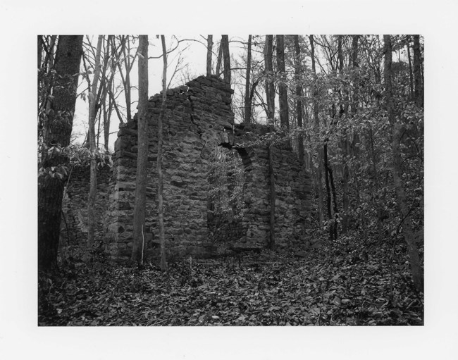 Ruin of a stone wall in a wooded area