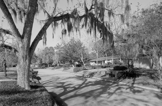 Streetscape with houses in suburban area