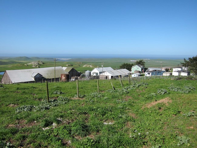 Agricultural buildings set in green field