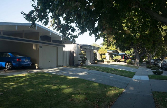 Streetview with houses on shady street