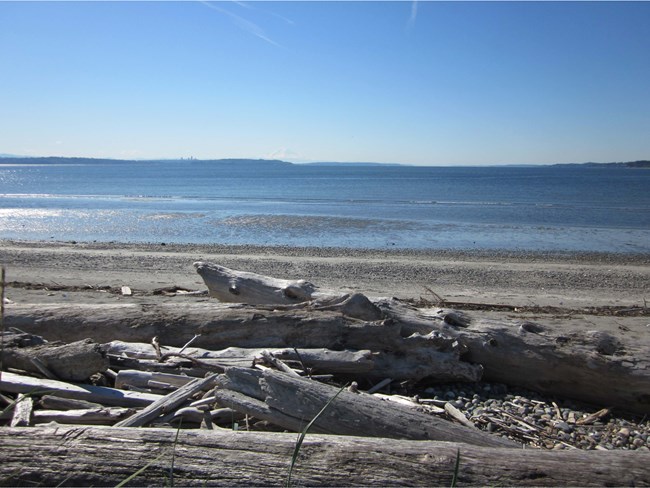 top of beach berm and beach landforms, with Mount Rainier and downtown Seattle in distance