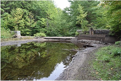 Diversion Dam in wooded area