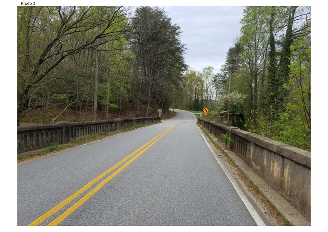 Road with double solid yellow lines with trees on either side and curve in the distance