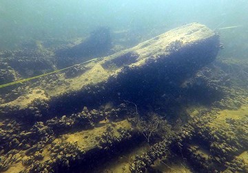 Mollusk and algae-covered beams from a ship under the water.