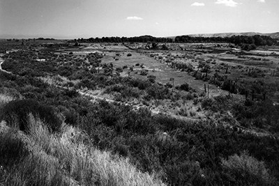 Black and white photo showing a trail and fence lines through a western landscape.
