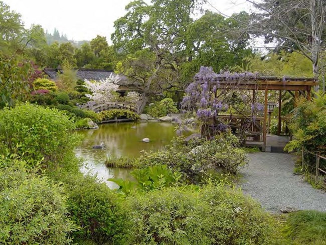 Pond with foot bridge and pavilion two pavilions