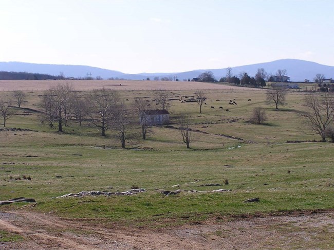 large expanse of farmland with builiding in center