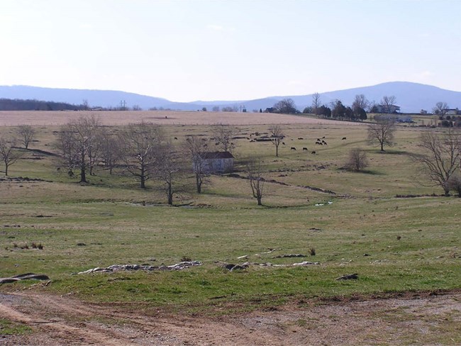 15000809-Rockland Rural Historic District large expanse of farmland with builiding in center