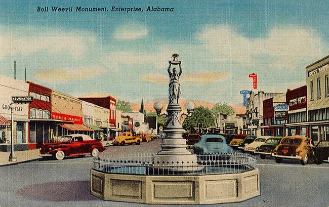 73000336 Boll Weevil Monument (AL) postcard Color postcard showing image of statue in pool, buildings, road, and cars.