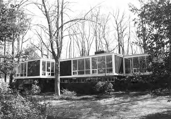 Two contemporary houses set into landscape with trees in foreground and background