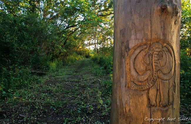 Frequently asked questions pic Ice Age Trail marker.