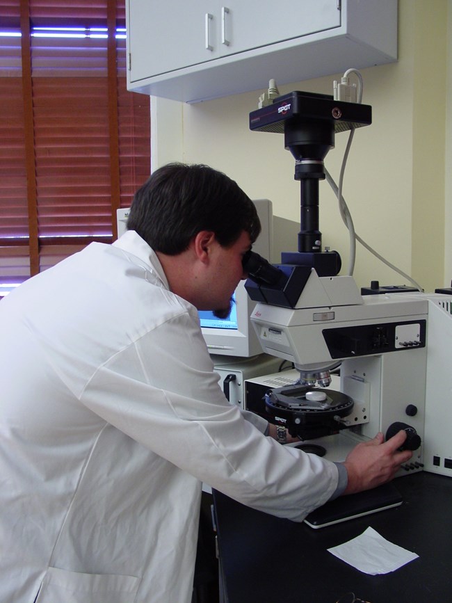 Jason Church looking at sample under microscope