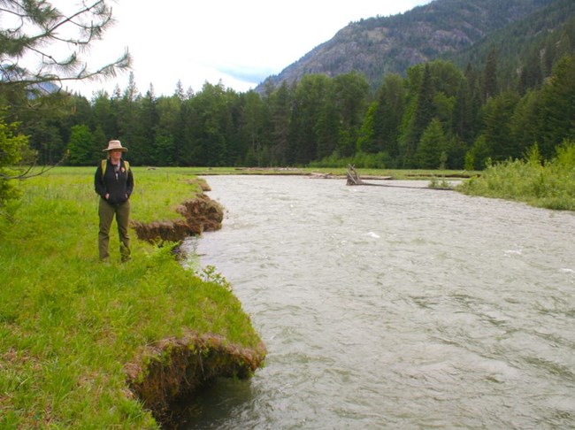 Extensive bank erosion now affects the Stehekin River boundary of Buckner Homestead Historic District, south view. Vida Germano coordinates ongoing PWR efforts to document and track such impacts. Extensive bank erosion now affects the Stehekin River boundary of Buckner Homestead Historic District, south view. Vida Germano coordinates ongoing PWR efforts to document and track such impacts.