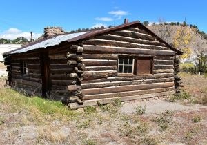 Weathered log cabin with a metal roof and a stone chimney - surrounded by overgrown scrubs.