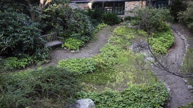 Olmsted Center view looking down into hollow adjacent to the house of curving dirt paths and natural looking vegetation.