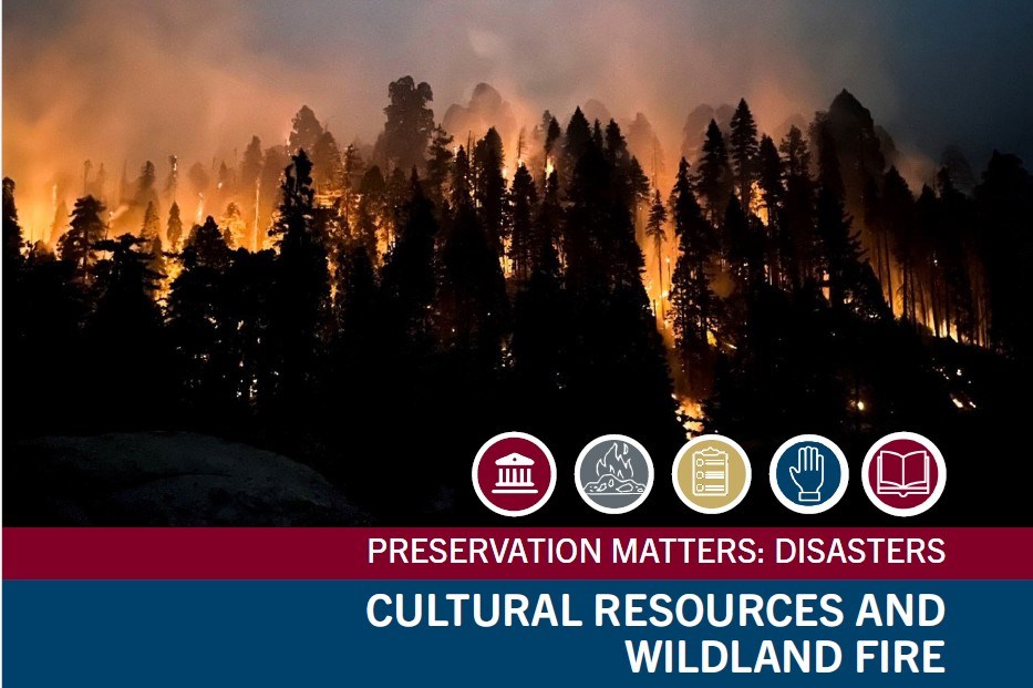 A graphic with a picture of dark trees that have orange flames coming off them. Underneath are 5 icons and the name of the document.