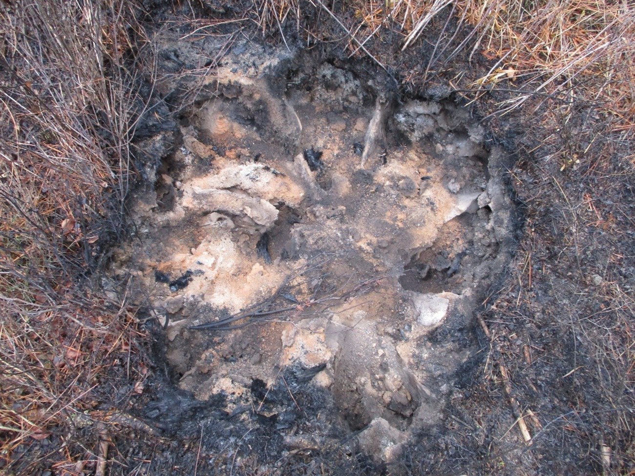 Remains of a tree stump after a fire A large pit filled with ash and charcoal is what remains of a tree stump after a fire