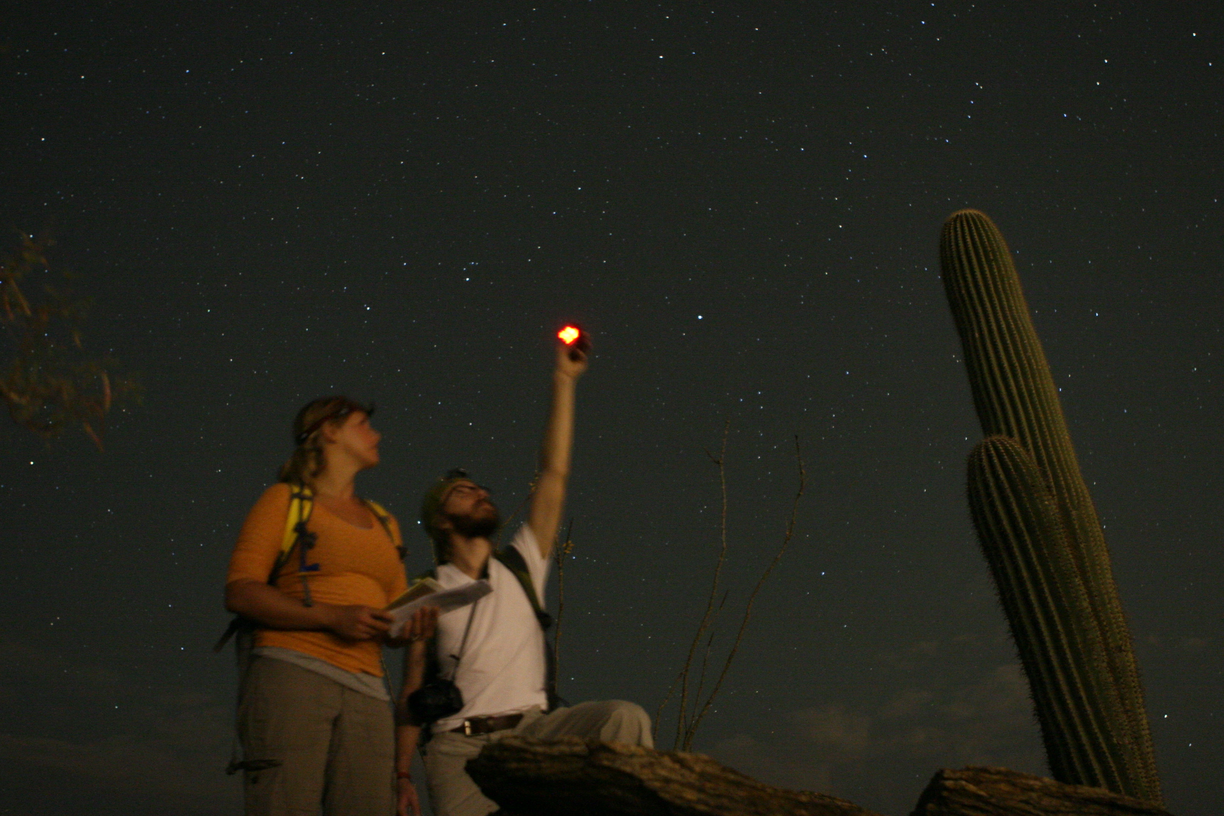 Spot the station night skies u s national park service 