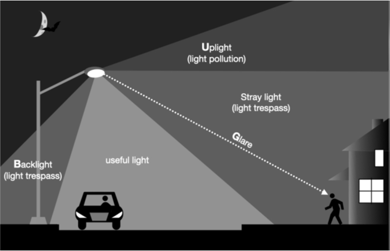 a graphic shows lighting hitting different places in a landscape