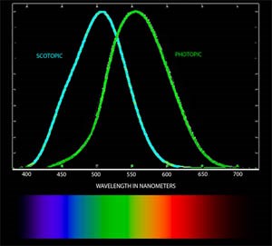 طول موج‌های نور اسکوتوپیک و فوتوپیک، دو عملکرد بصری چشم انسان، در اینجا بر حسب نانومتر رسم شده‌اند که حساسیت را با رنگ نور دریافتی نشان می‌دهند.