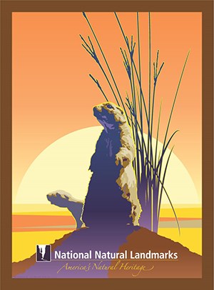 Graphic drawing of two prairie dogs at sunset