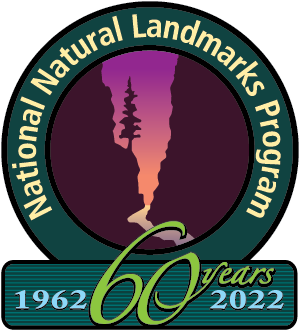 NNLlogo60