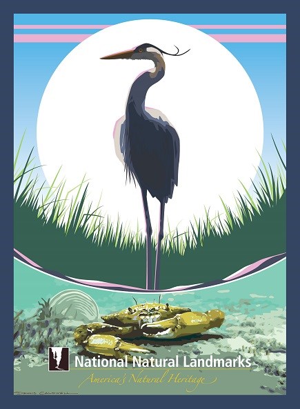 graphic of heron and crab in water