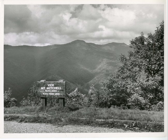MountMitchell eval report photo MountMitchell eval report photo