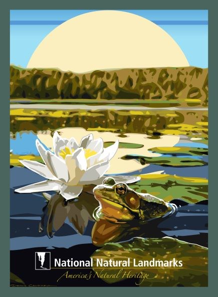Graphic artwork of frog and lily pads in lake with sun in background