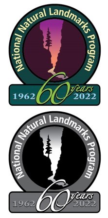 NNL Logo - color and grey