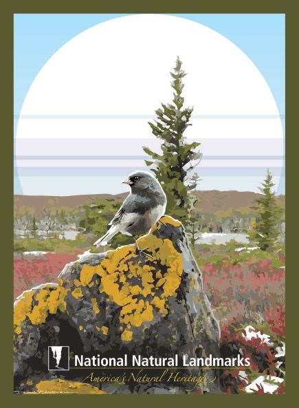 NNL Tundra Graphic artwork of bird on lichen covered rock with tree and sun in background