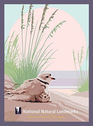 Birds on sand beach with tall grass
