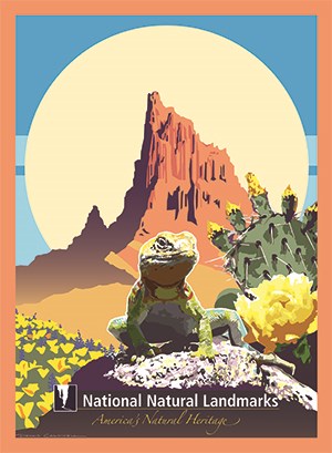 artwork of a lizard on a rock in a desert backdrop