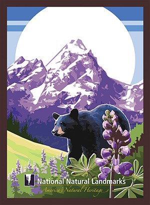 Bear in flowers with mountains in background