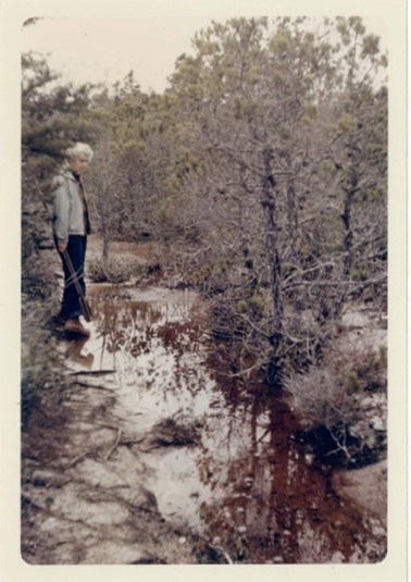 woman stands in forest with small stream