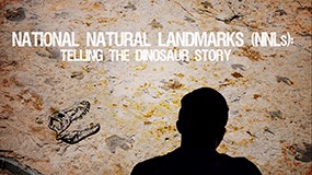 lt= Screenshot from the video - person is silhouetted against a backdrop of dinosaur fossils