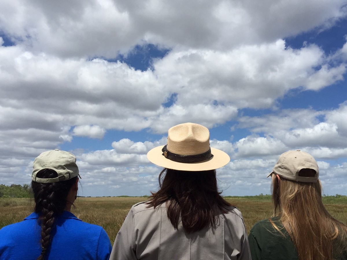 EVER Ranger and Interns Back of rangers and volunteers looking out across a marsh