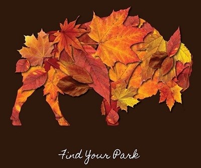 Find Your Park Autumn Bison NPS Matt Turner Illustration of a bison made of tree leaves with text reading "Find Your Park"