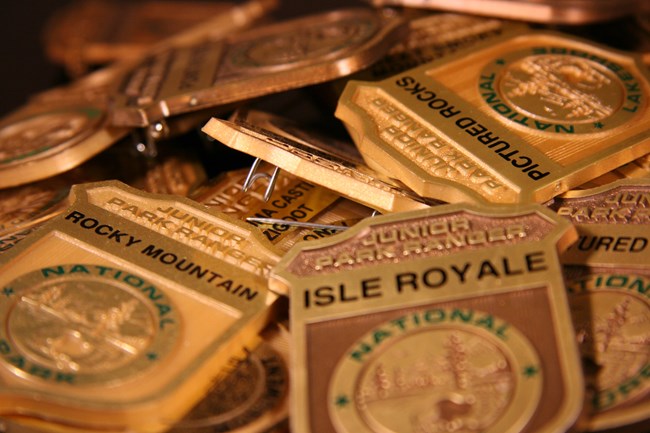 Junior Ranger badges courtesy of Kate Ter Haar Pile of Junior Ranger badges