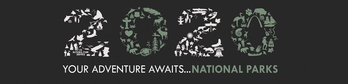 Graphic of "2020" made of various shapes and text reading "Your Adventure Awaits...National Parks"