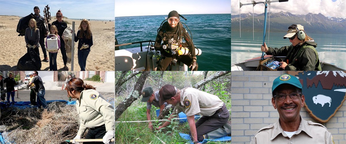A montage of six images featuring volunteers at national park sites.