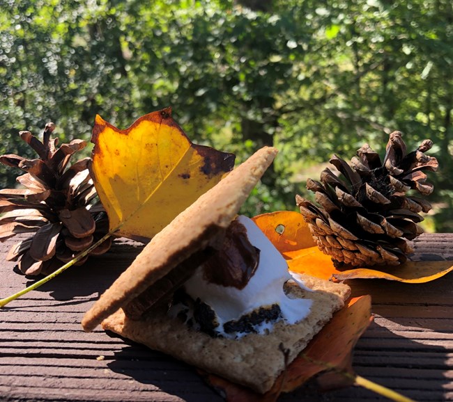 Smore2 NPS Matt Turner Smore on a table with leaves and pinecones