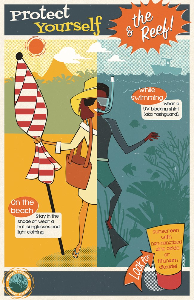 illustrated split image: half person on the beach in the sun wearing a hat and sunglasses holding and umbrella, other half is of a person swimming in the coral reef. Text reads: Protect yourself and the reef