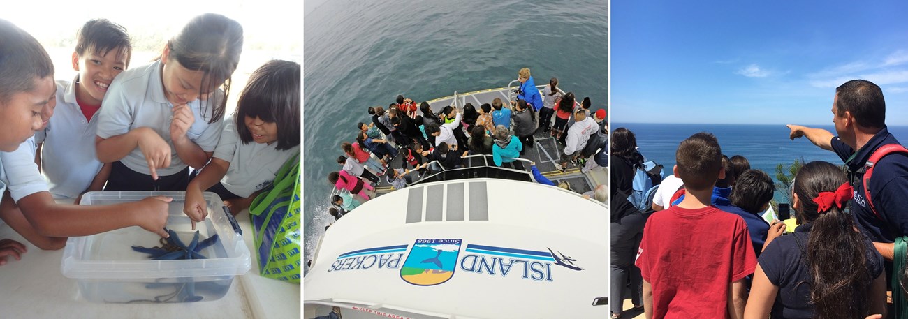 Kids look at sea stars, kids on a boat and a teacher points at the ocean to a group of kids.