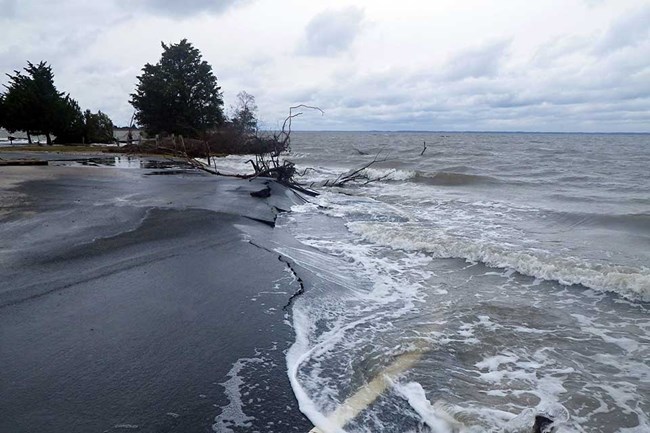 ocean water flooding over asphalt with trees in the background