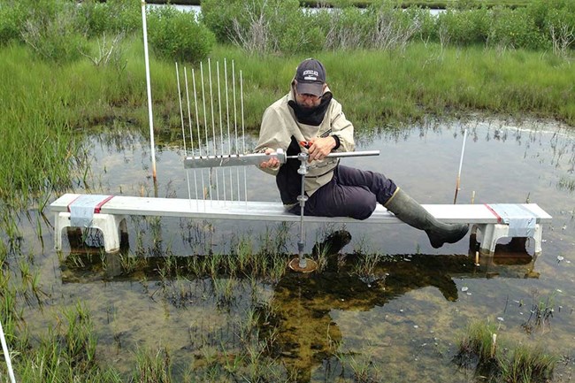 Water Monitoring scientist testing the quality of water in a salt marsh