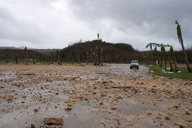 truck driving over flooded road with broken trees in the background