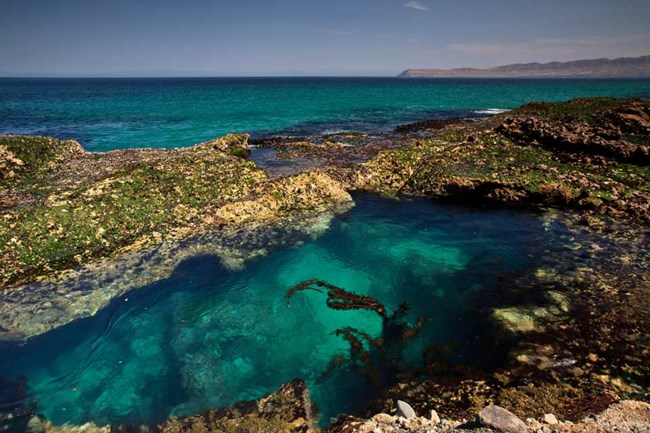 Tidepool tidepool along the coast of an island with animals inside