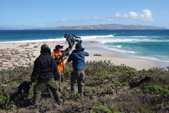 group of visitors walking along beach with ocean in sight