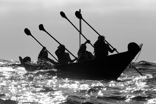 group of chumash paddling traditional tomol